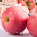 Apple fresca de grado superior para manzana roja de Fuji